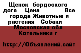 Щенок  бордоского  дога. › Цена ­ 60 000 - Все города Животные и растения » Собаки   . Московская обл.,Котельники г.